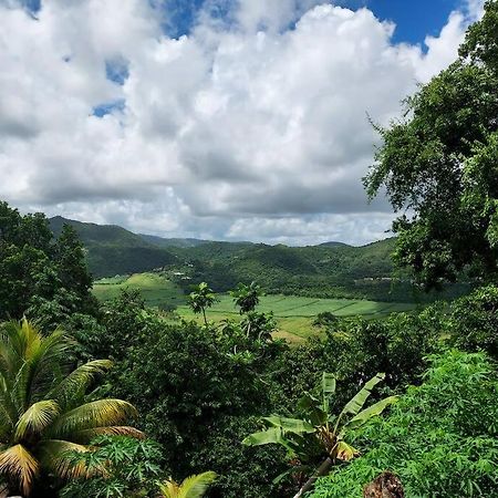 Appartement T2 Le Vallon Au Marin Martinique Le Marin Exteriör bild